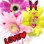 Love Flowers Butterfly Live Wa APK Simgesi