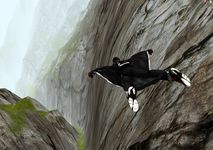 Wingsuit - Proximity Project image 12