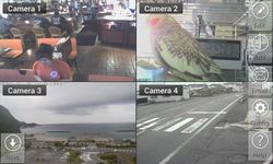 Imagen 6 de Viewer for ICam IP cameras