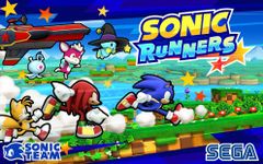 SONIC RUNNERS image 9