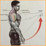 Imagem 1 do Exercícios Musculares corpo