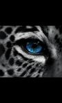 Imagem 5 do Big Cat Live Wallpaper