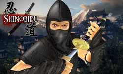 Imagem 6 do Sengoku Ninja Assassin 3D
