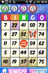 Bingo Heaven® HD ekran görüntüsü APK 2