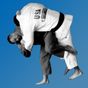 Icona Judo Throws Vol. 1