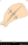 Картинка  Small Animal Fracture Mgmt