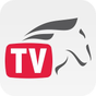 REITTV APK Icon