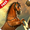 imagen horse simulator free 0mini comments