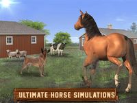 Картинка 14 Horse Simulator Free