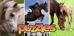 Horse Puzzles Pro ekran görüntüsü APK 