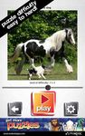 Horse Puzzles Pro ekran görüntüsü APK 3