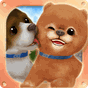 Puppy Run: Peeka Boo APK Simgesi