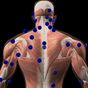 APK-иконка 3D Trigger Points