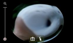 Imagem  do Fisheye Camera Effect II
