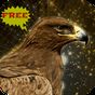 Golden Eagle Vogel-Simulator APK Icon