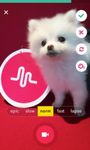 musical.ly lite の画像