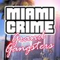 Εικονίδιο του Miami Crime: Grand Gangsters apk