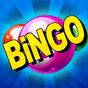 Bingo Casino™ apk icon