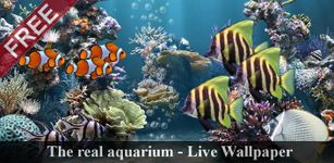 The real aquarium - LWP imgesi 2