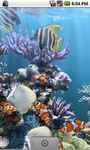 The real aquarium - LWP imgesi 1