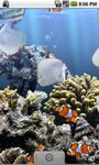 Gambar The real aquarium - LWP 