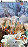 Gambar The real aquarium - LWP 4