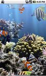 The real aquarium - LWP imgesi 6