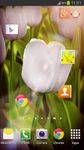 Картинка 8 My Flower 3D Live wallpaper