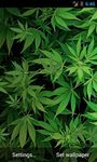 Imagem  do Marijuana 3D Live Wallpaper HD