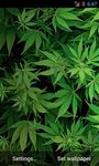 Imagem 2 do Marijuana 3D Live Wallpaper HD
