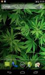 Imagem 3 do Marijuana 3D Live Wallpaper HD