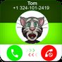 Call From Talking Tom APK