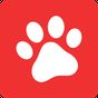 Dogalize - Red social mascota apk icono