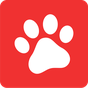 Apk Dogalize - Pet Social Network