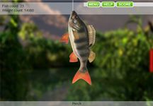 Картинка 10 Gone Lake Fishing 2 Free