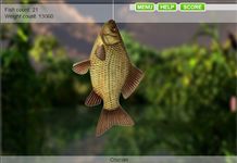 Картинка 17 Gone Lake Fishing 2 Free