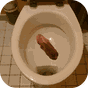 APK-иконка Poo simulator