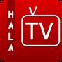 Icône apk Hala-TV