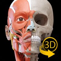 Androidの 筋肉系 解剖学3dアトラス 人体の骨格と筋肉 アプリ 筋肉系 解剖学3dアトラス 人体の骨格と筋肉 を無料 ダウンロード