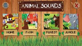 Animal Sounds image 