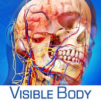 visible body 3d human anatomy atlas free download
