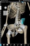 Human Anatomy Atlas SP image 