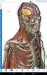 Human Anatomy Atlas SP image 2