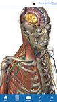 Human Anatomy Atlas SP image 6