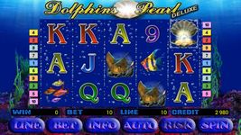 Картинка  Dolphins Pearl Deluxe slot