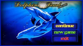 Картинка 4 Dolphins Pearl Deluxe slot