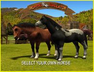 Imagine Horse Simulator 3D Game 