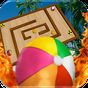 Survivor Fire Ball Maze 3D APK