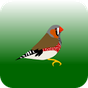 VogelMarkt.net APK