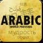 Grands proverbes arabes (FR) APK